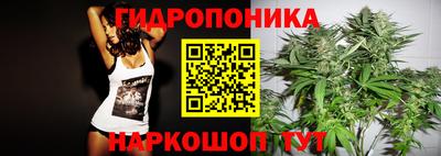 гашик Балашиха