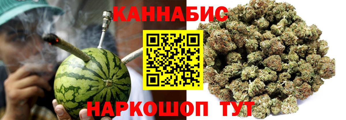 Конопля тримм  Вход с VPN  Гатчина  Марихуана Bruce Banner 